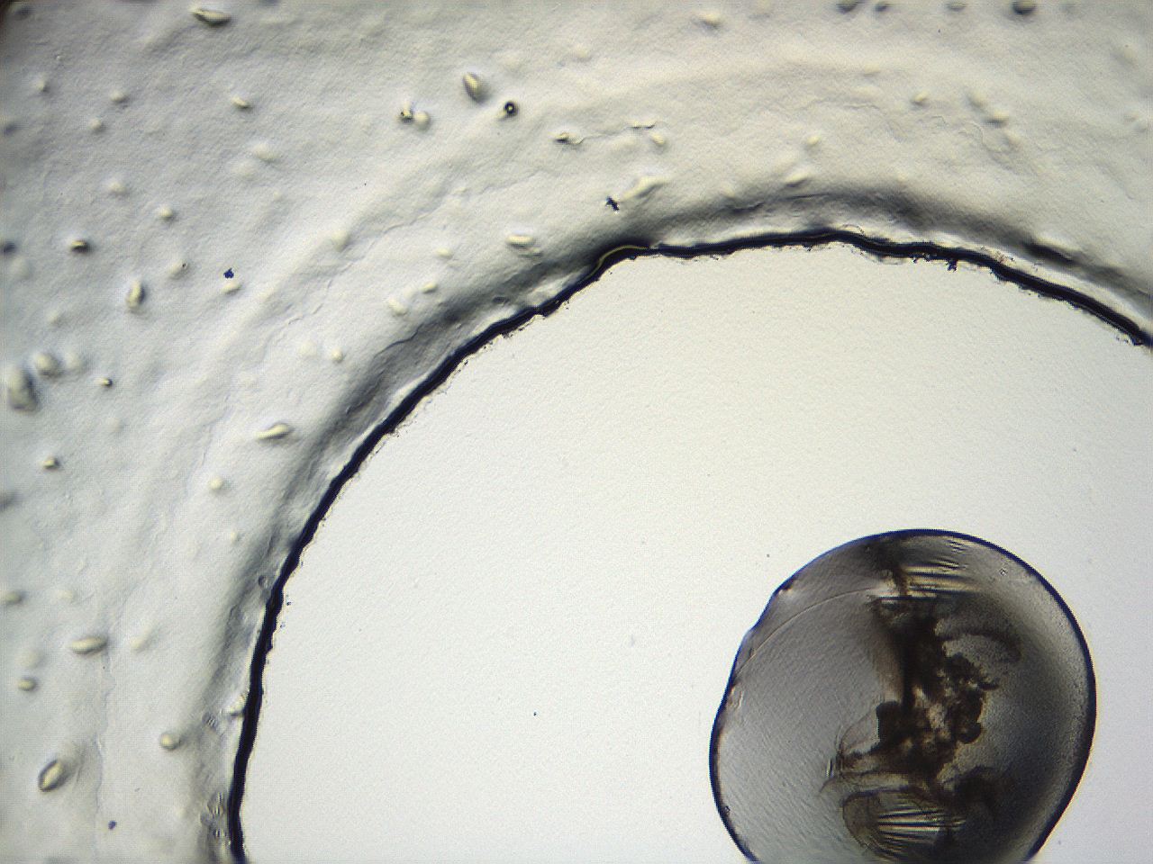 04i4_D3_ImagerDefaults_3.jpg