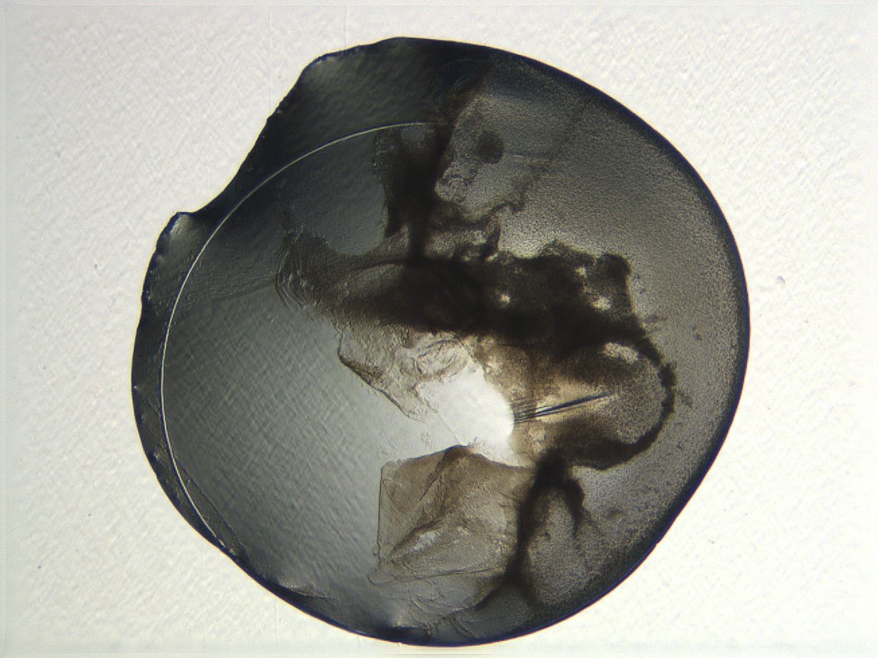 04i4_D4_ImagerDefaults_3.jpg