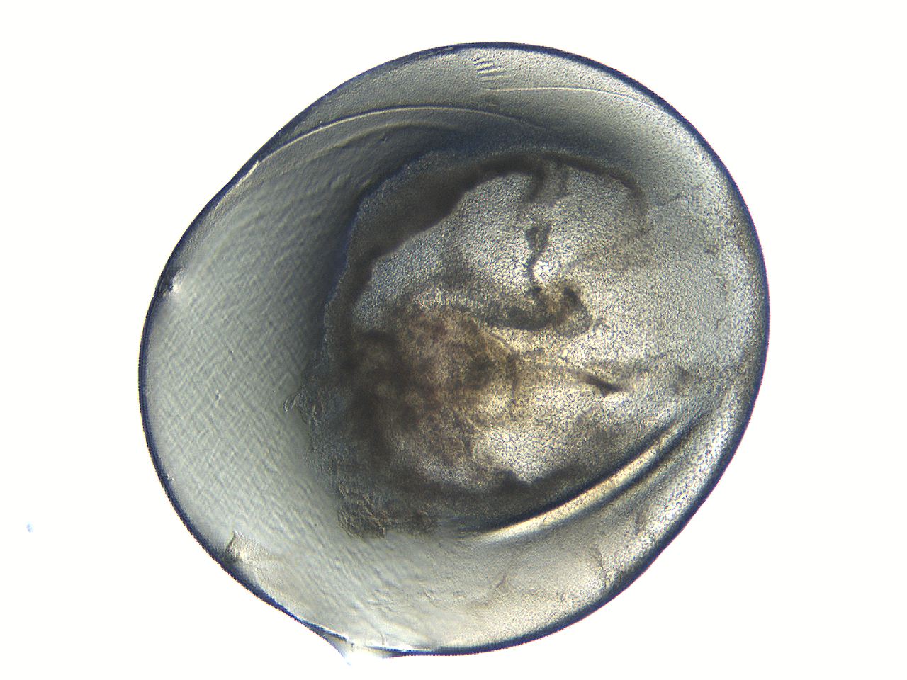04i4_D5_ImagerDefaults_3.jpg