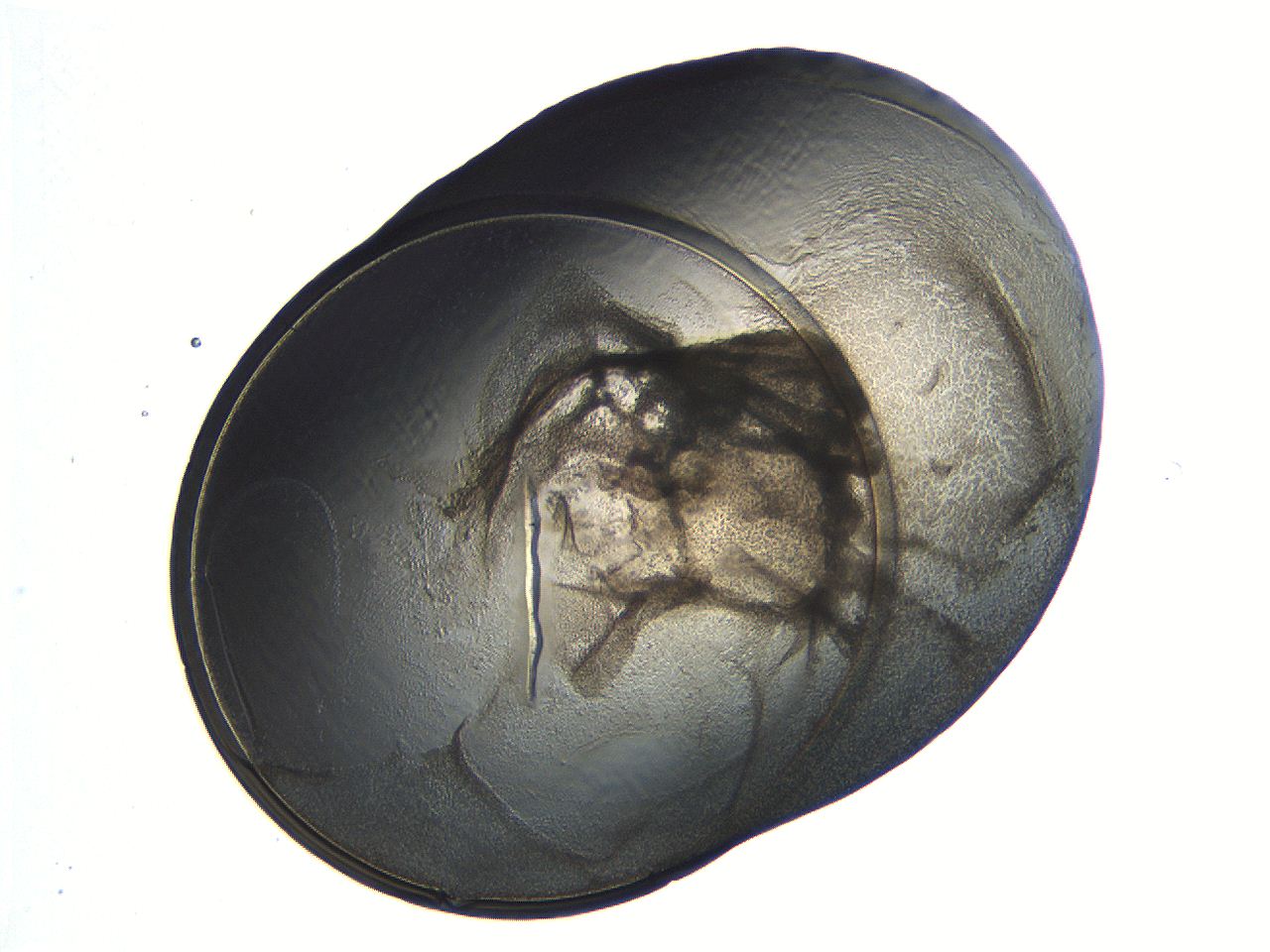 04i4_D7_ImagerDefaults_3.jpg