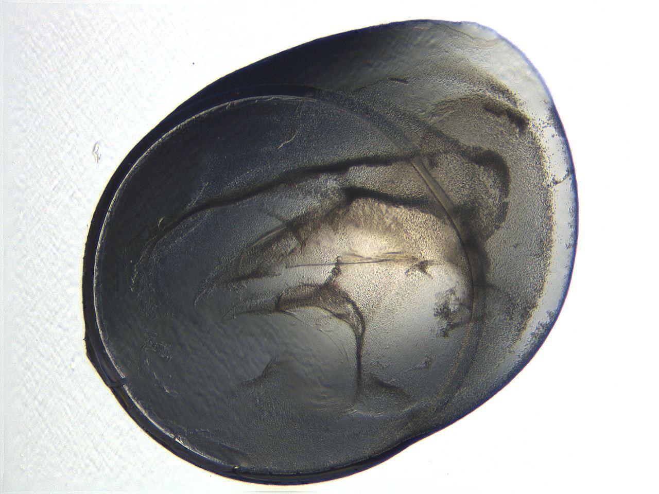 04i4_D8_ImagerDefaults_3.jpg