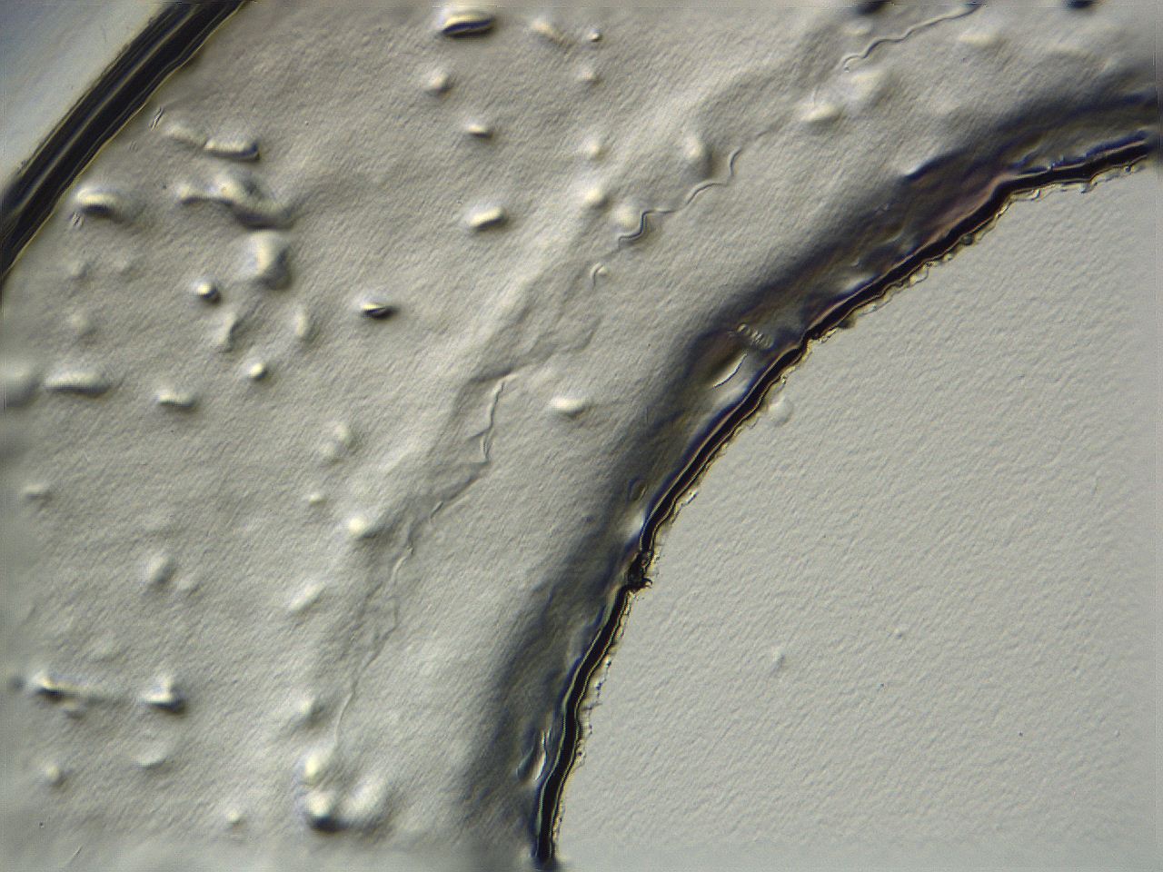 04i4_D9_ImagerDefaults_3.jpg