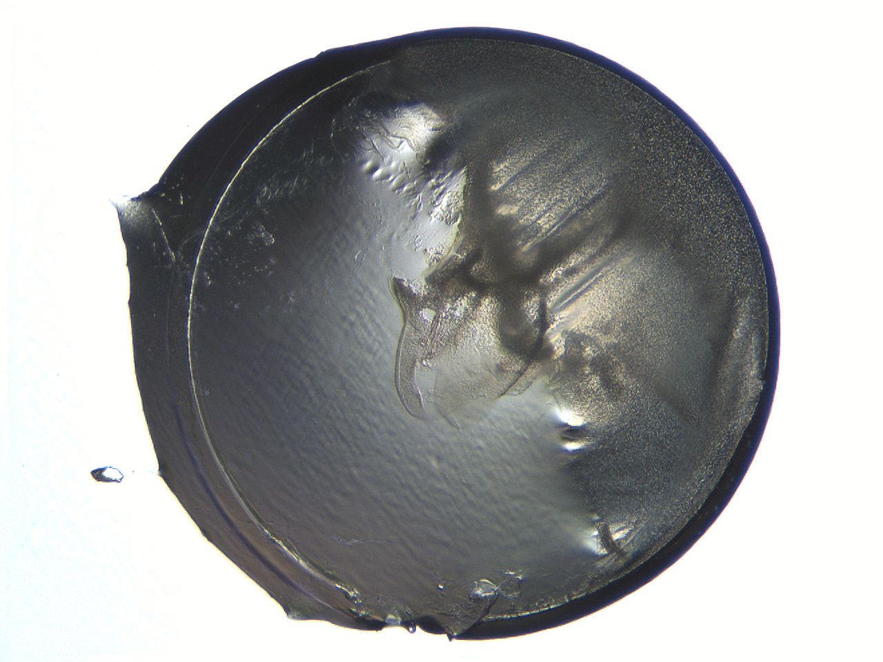 04i4_D10_ImagerDefaults_3.jpg
