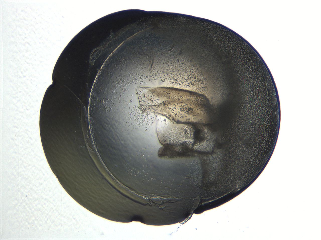 04i4_D11_ImagerDefaults_3.jpg