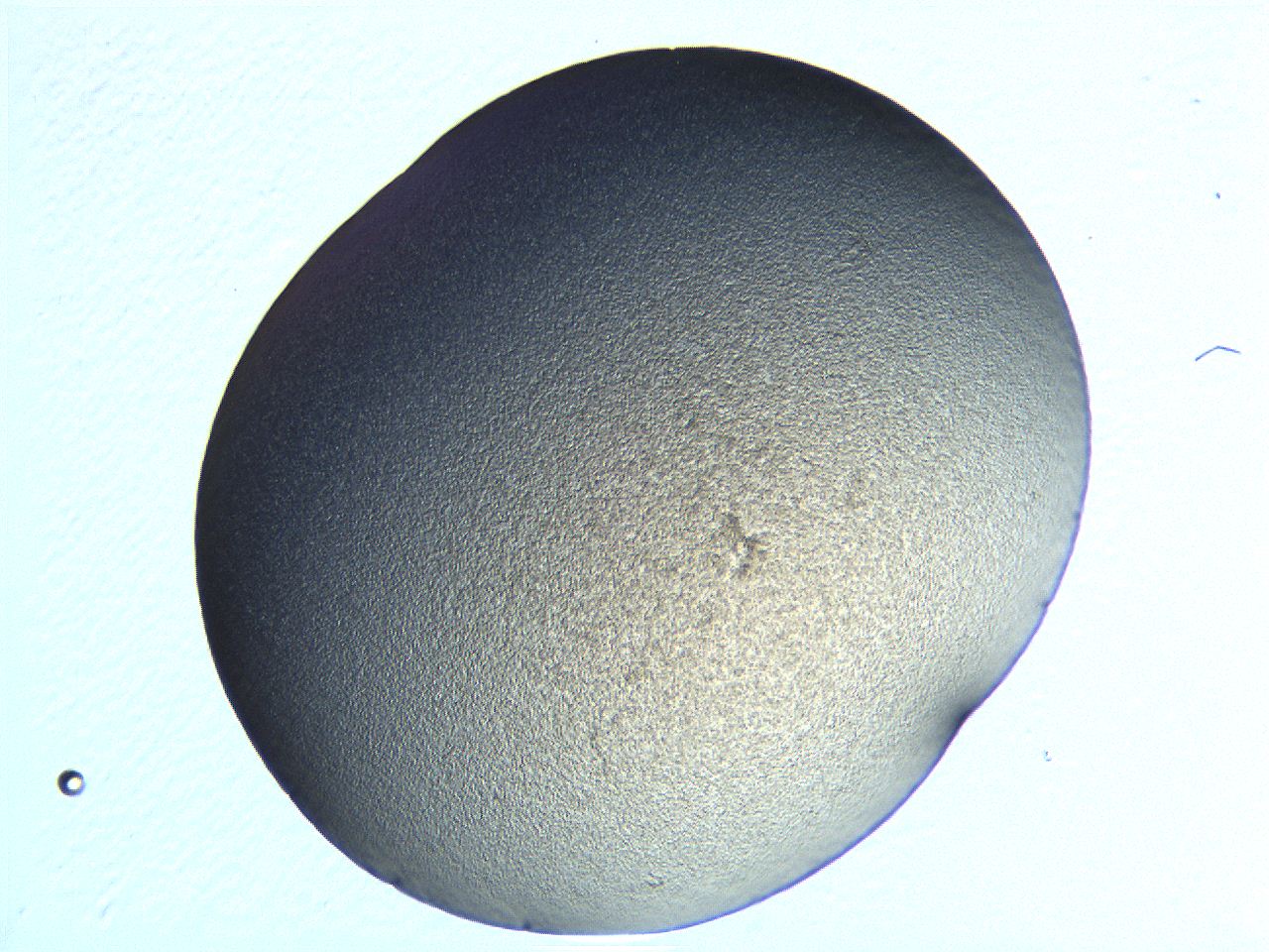 04i4_E2_ImagerDefaults_3.jpg