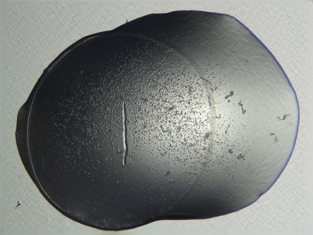 04i4_E7_ImagerDefaults_3.jpg