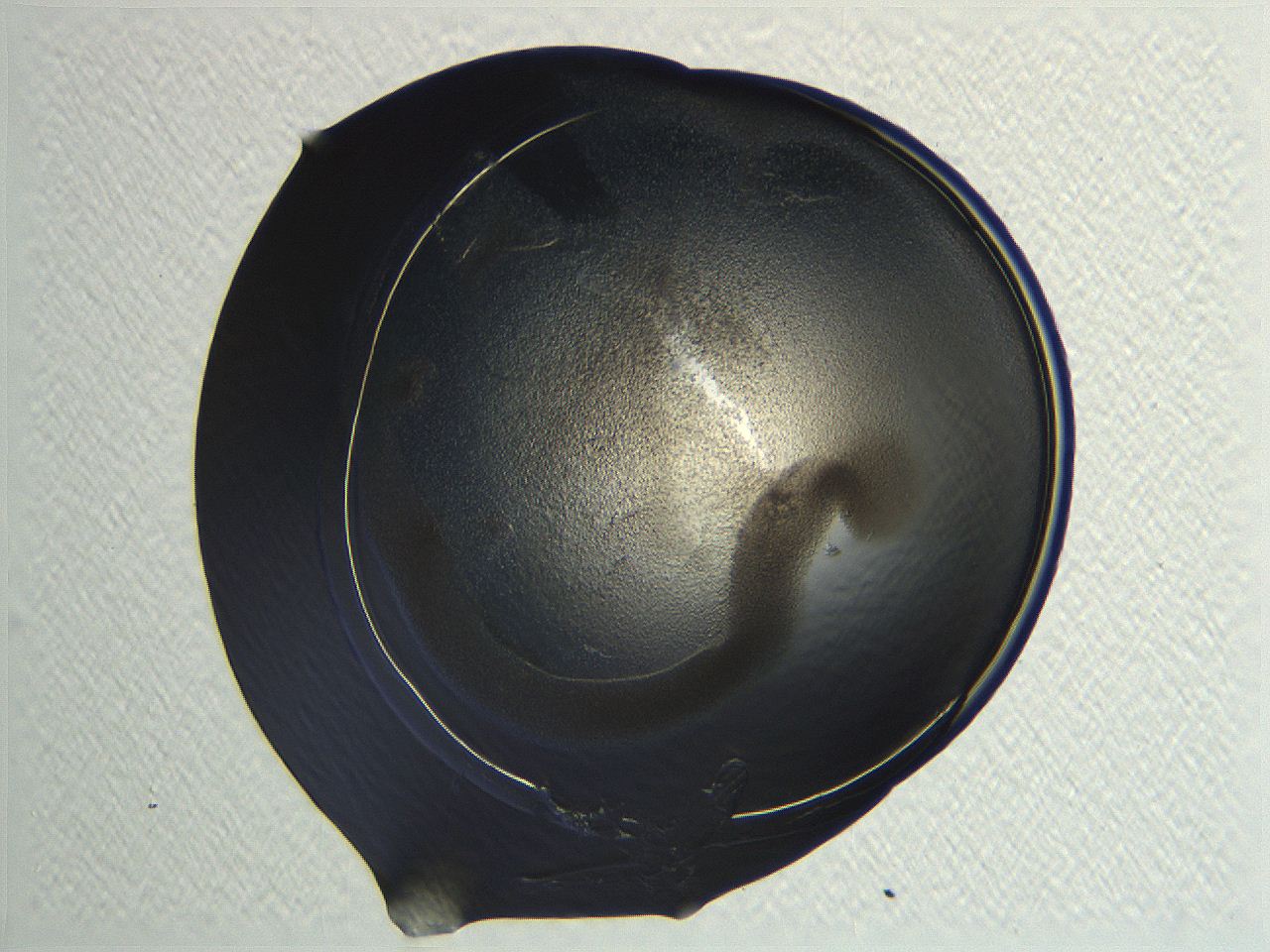 04i4_E9_ImagerDefaults_3.jpg