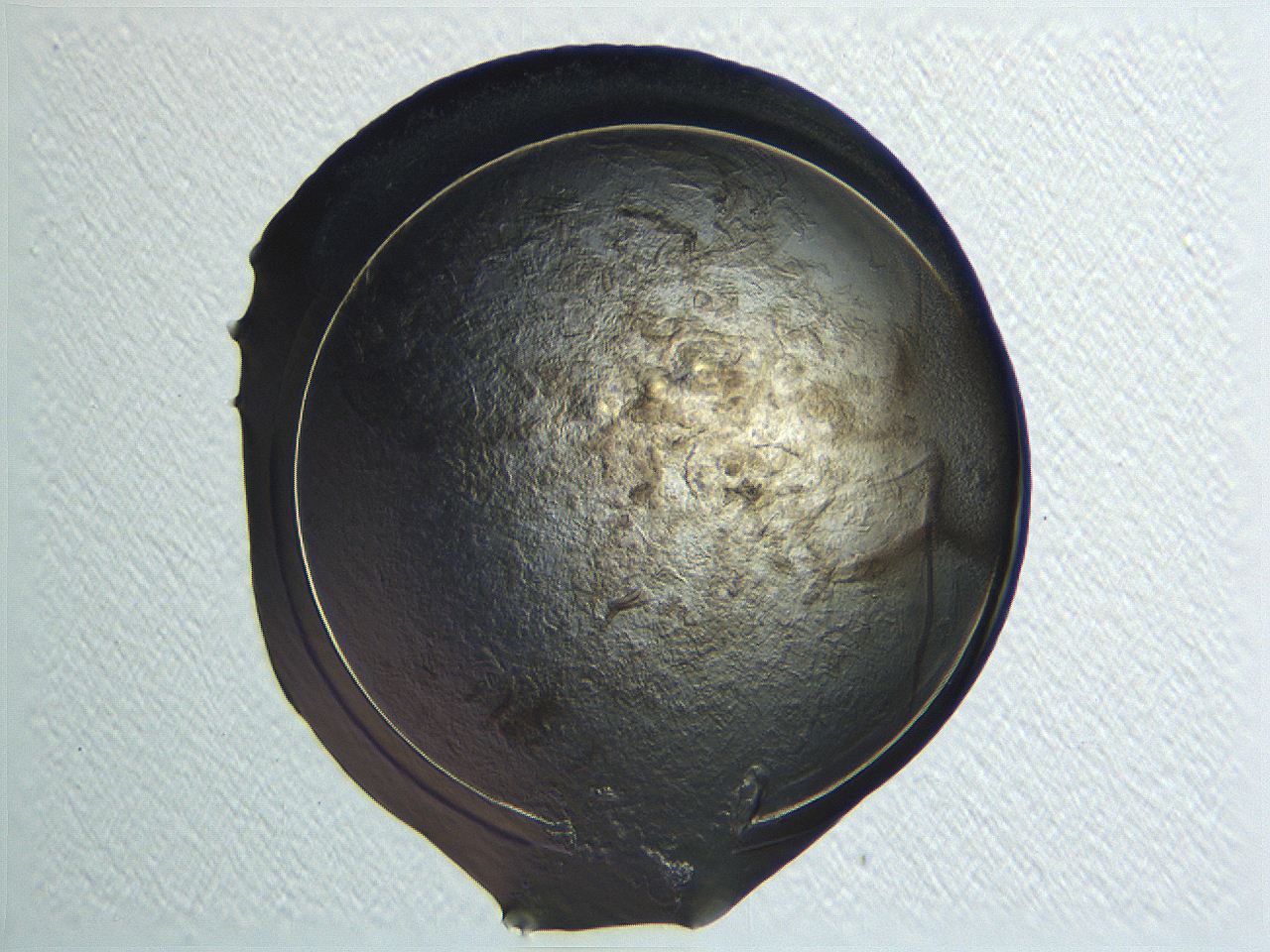 04i4_E10_ImagerDefaults_3.jpg