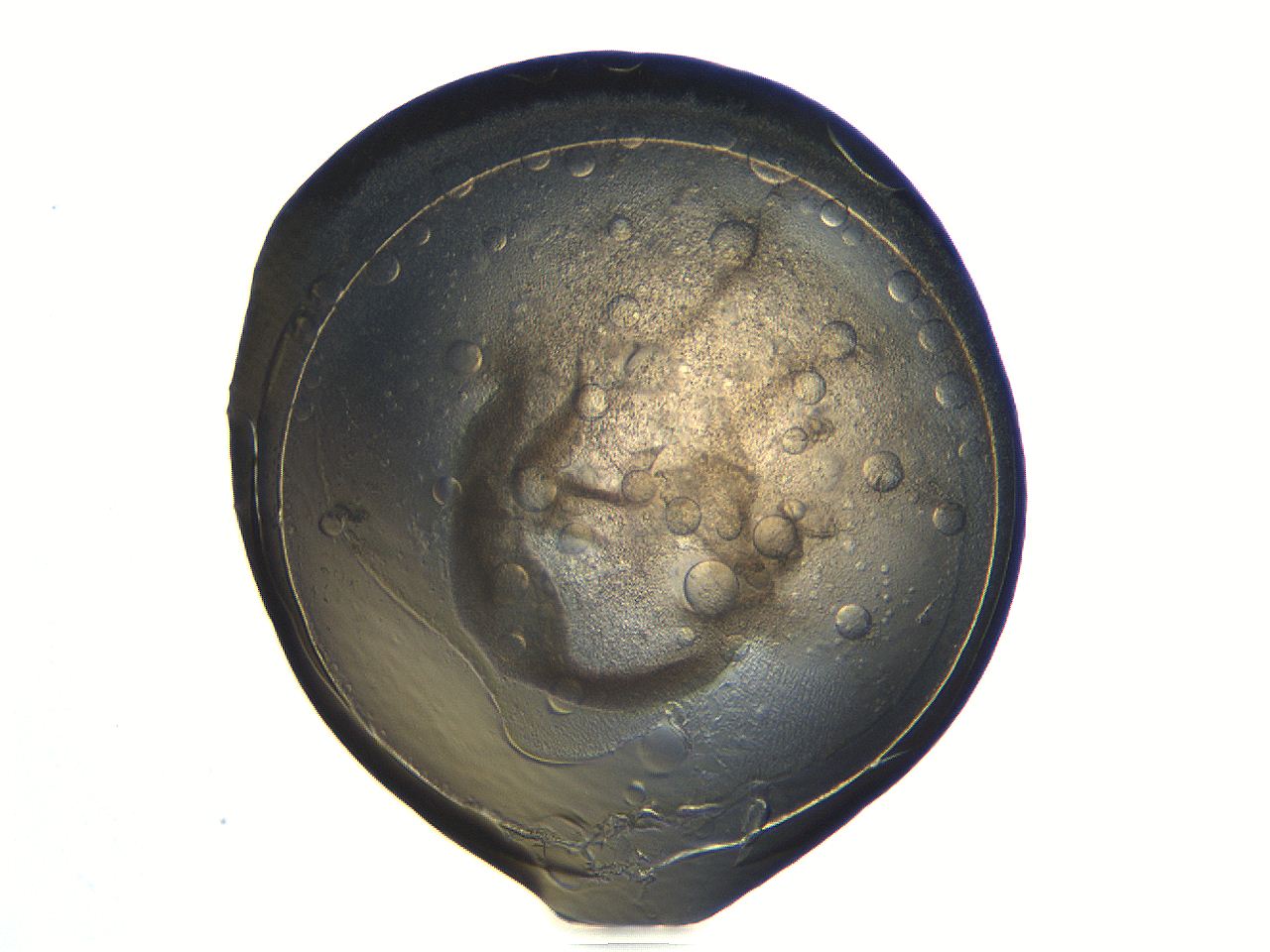 04i4_E11_ImagerDefaults_3.jpg