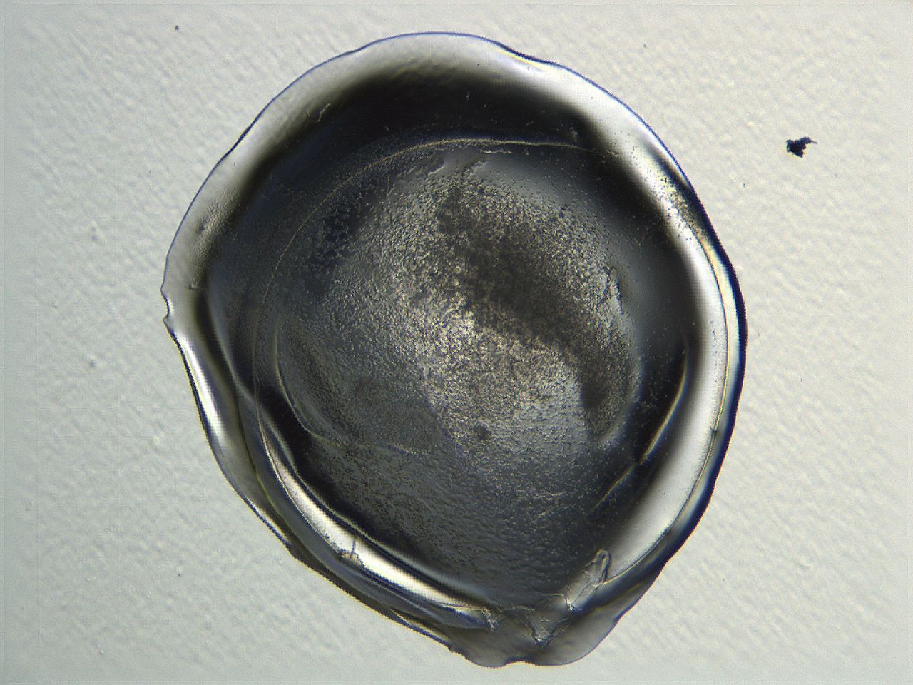 04i4_E12_ImagerDefaults_3.jpg