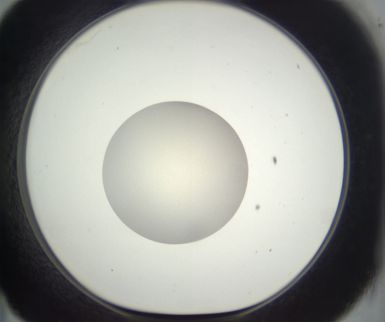 folderID383_plateID3383_batchID19694_wellNum35_profileID1_d1_r299509_ef.jpg