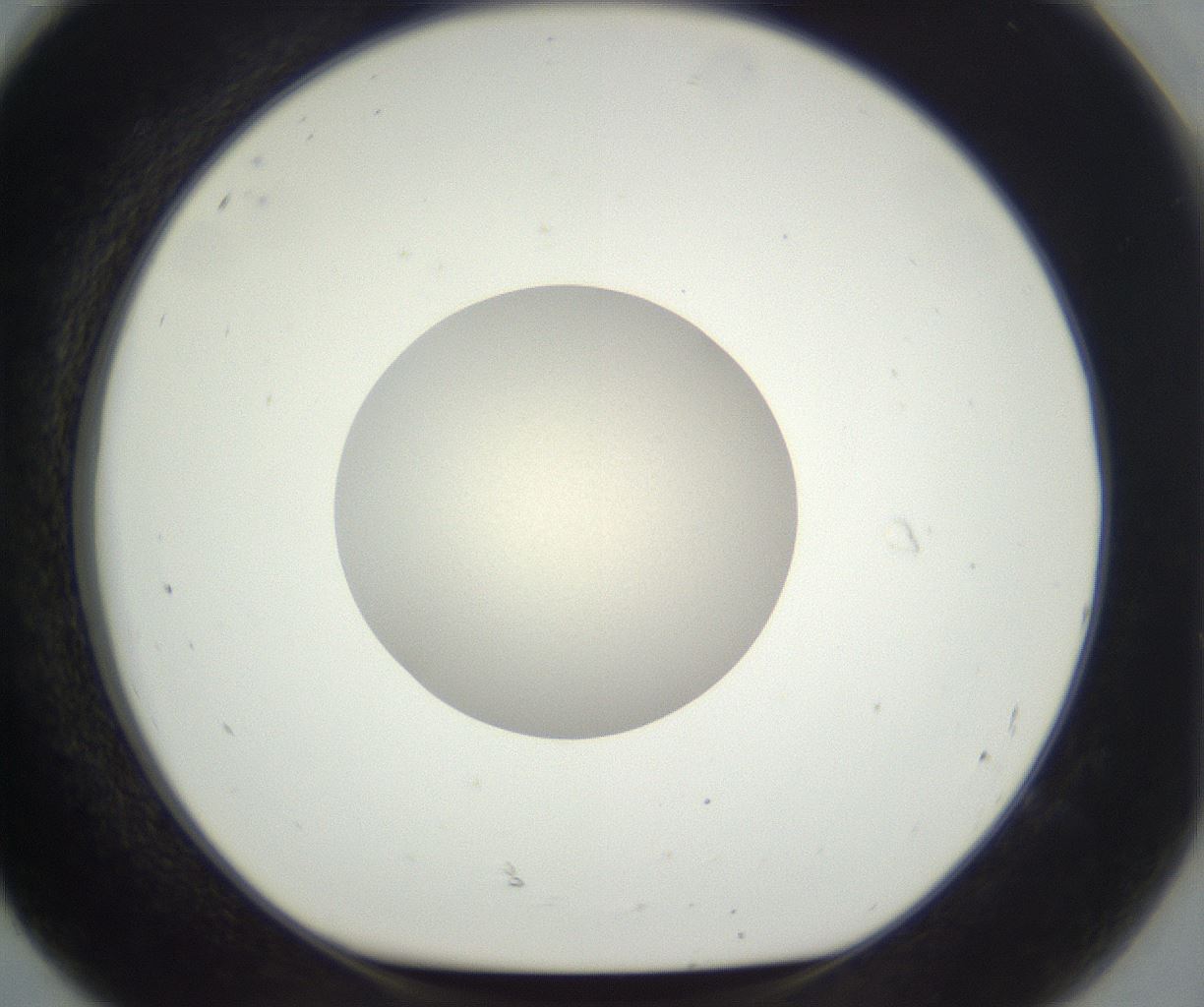 folderID383_plateID3383_batchID19828_wellNum92_profileID1_d1_r299566_ef.jpg