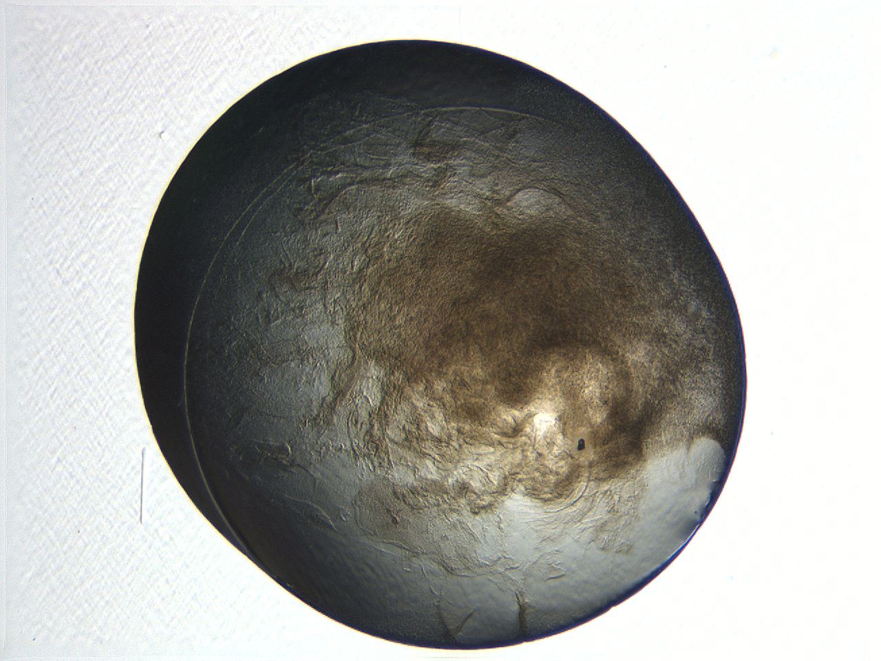 04i4_F4_ImagerDefaults_3.jpg