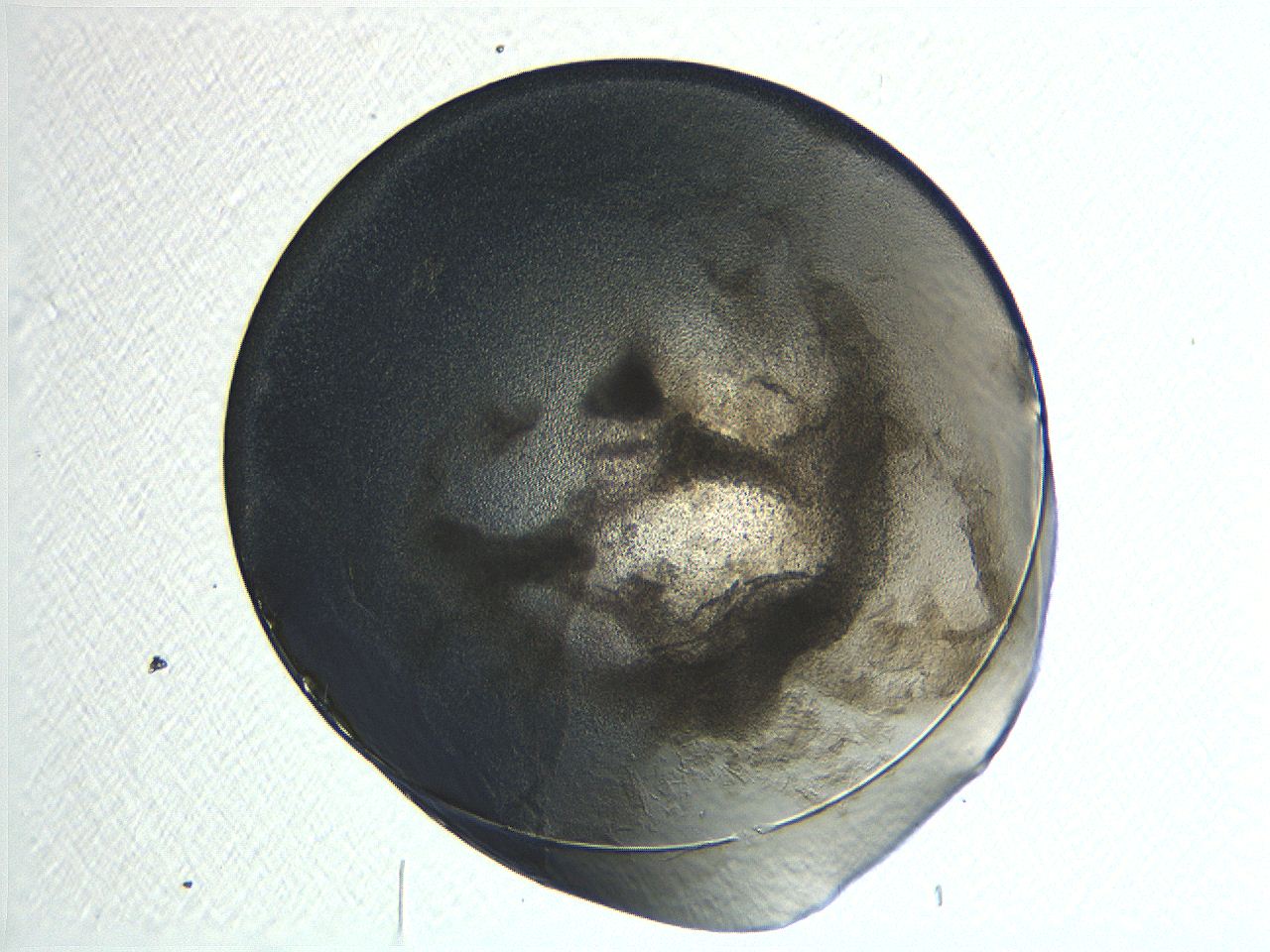 04i4_F5_ImagerDefaults_3.jpg