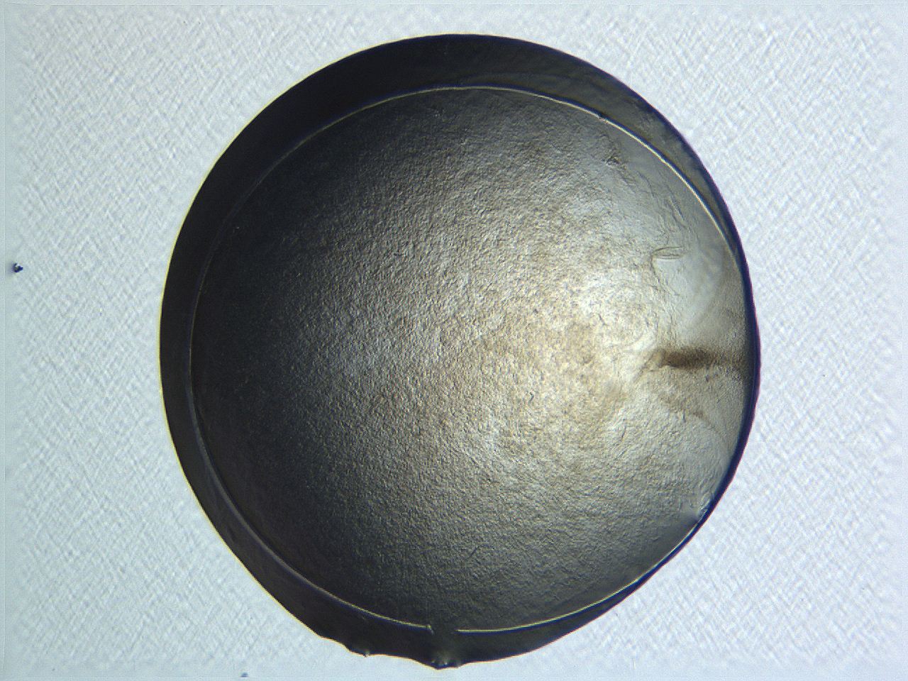 04i4_F6_ImagerDefaults_3.jpg