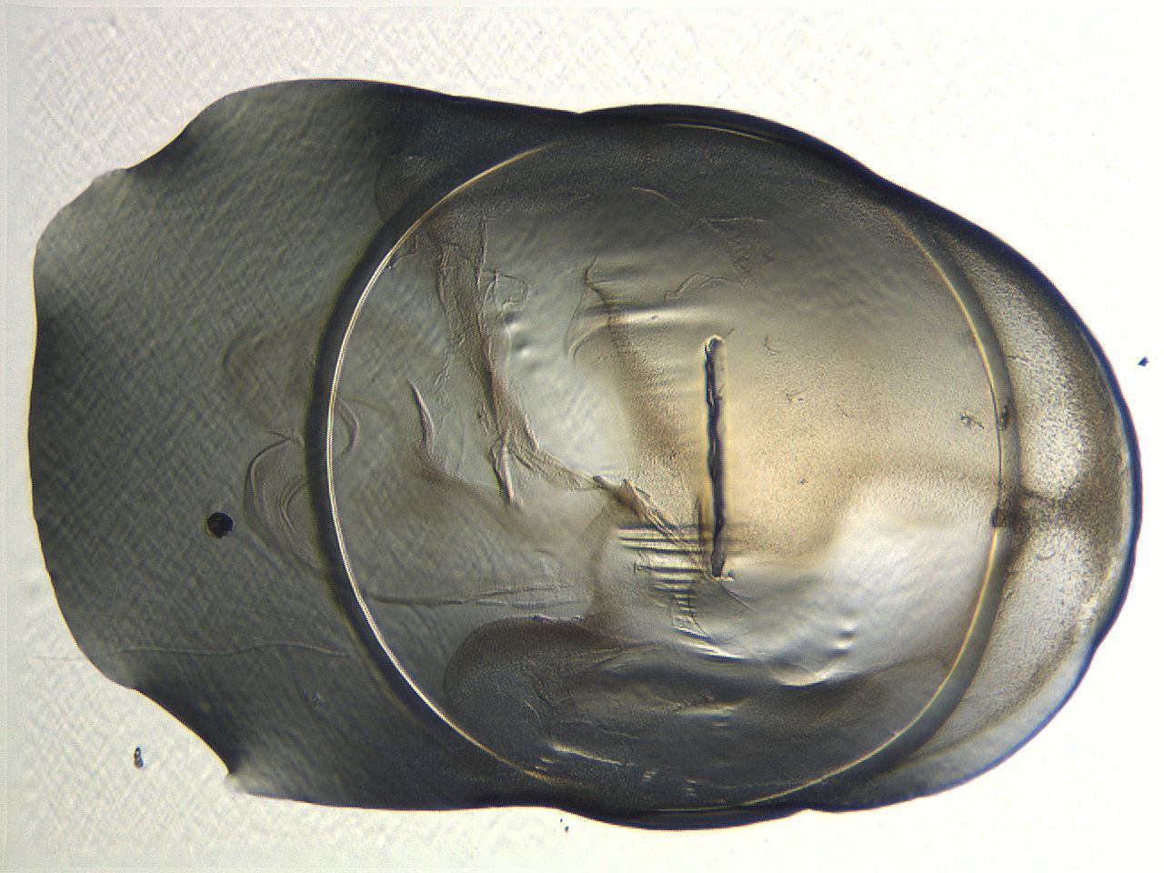 04i4_F7_ImagerDefaults_3.jpg