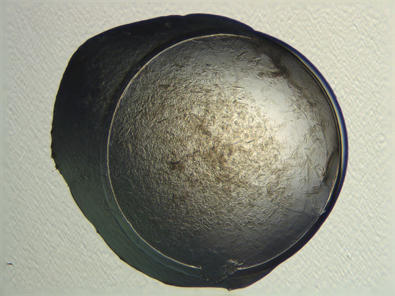 04i4_F9_ImagerDefaults_3.jpg