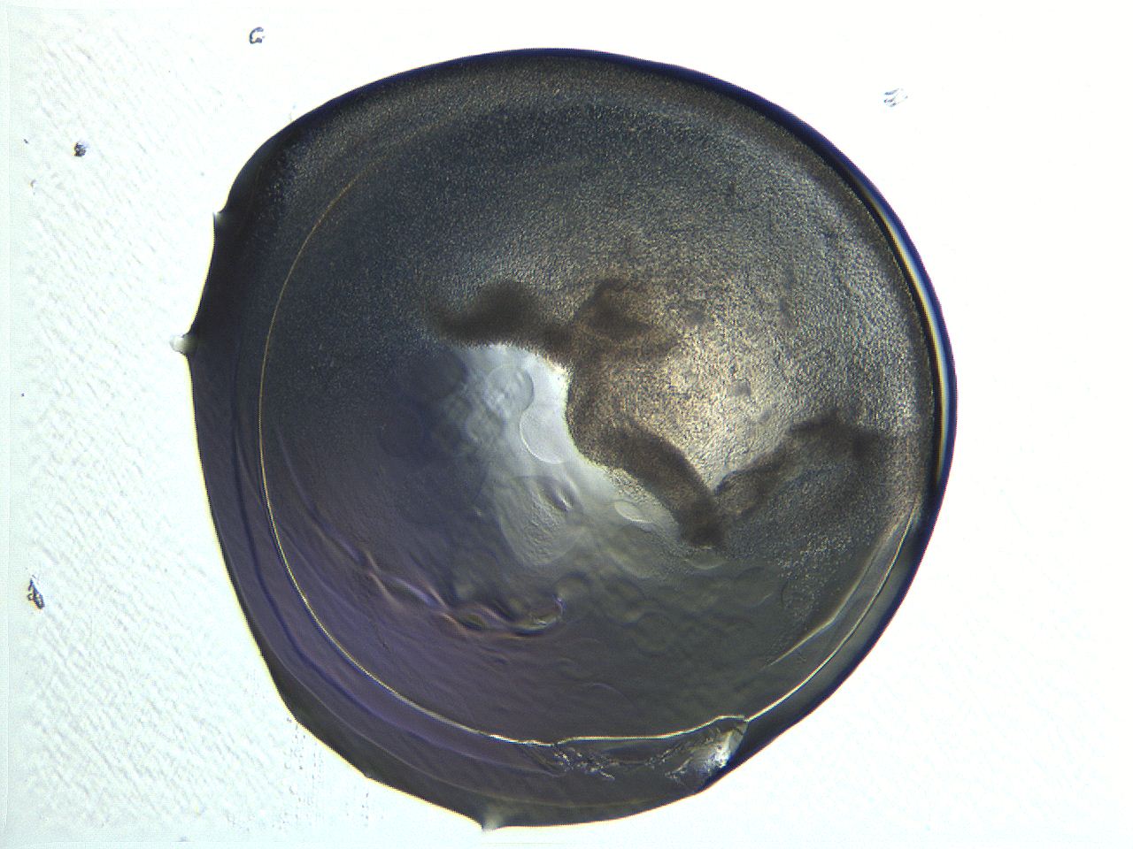 04i4_F10_ImagerDefaults_3.jpg
