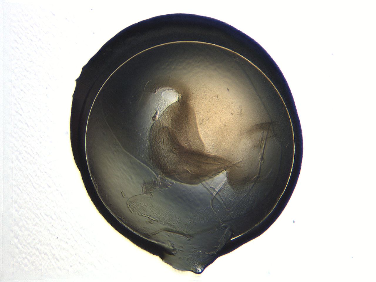 04i4_F11_ImagerDefaults_3.jpg