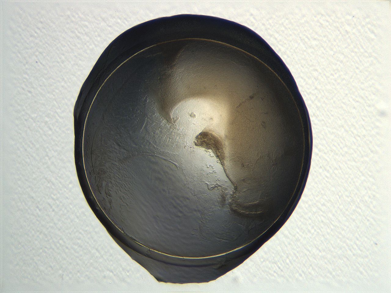 04i4_F12_ImagerDefaults_3.jpg