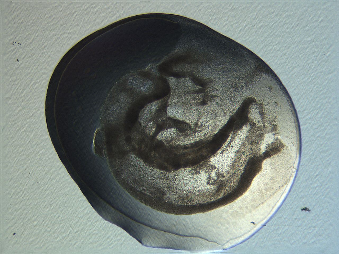 04i4_G1_ImagerDefaults_3.jpg