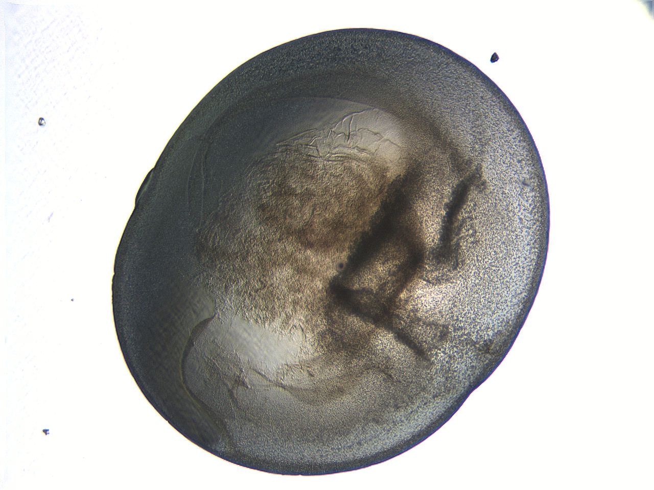 04i4_G3_ImagerDefaults_3.jpg