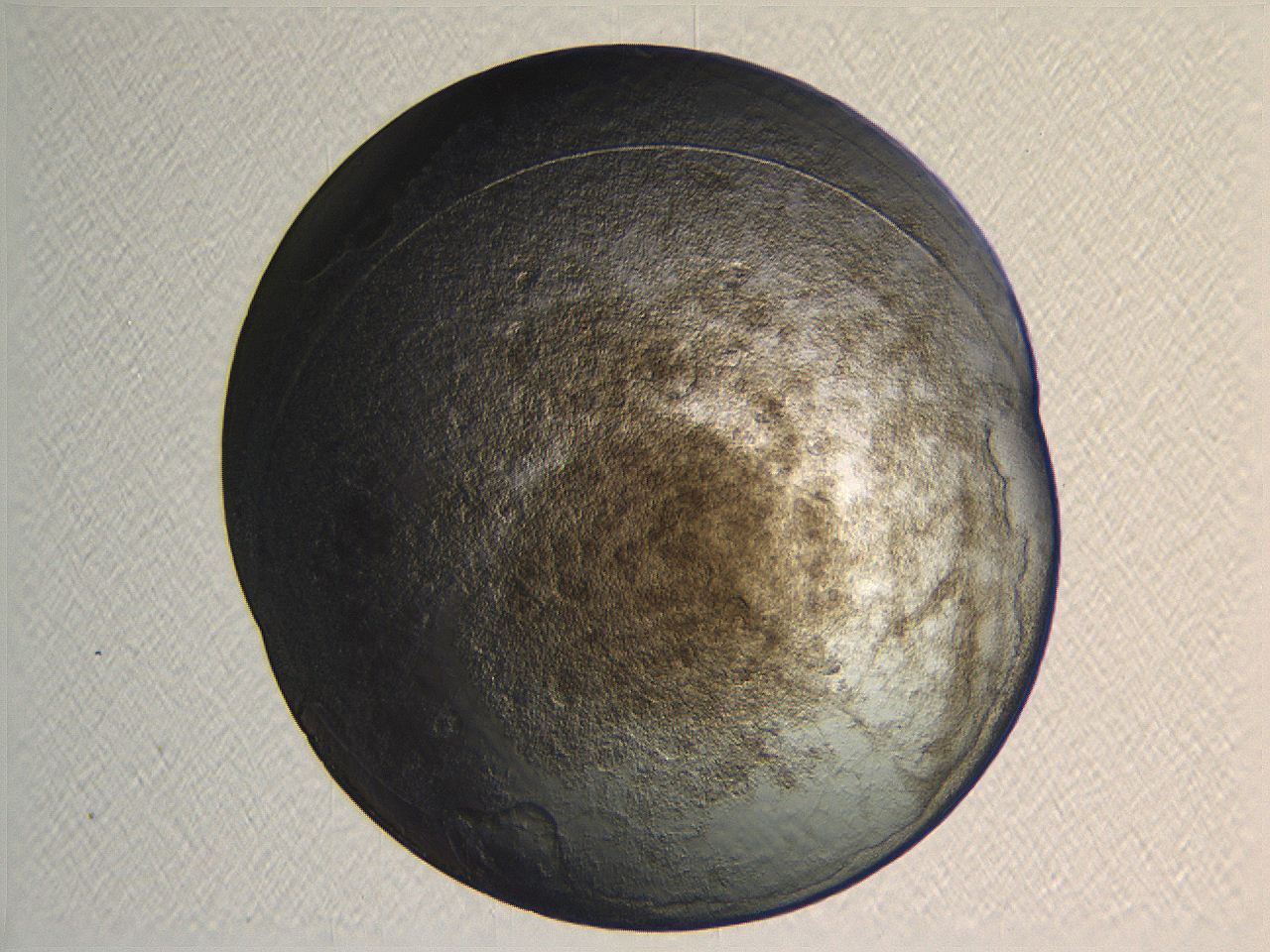 04i4_G4_ImagerDefaults_3.jpg