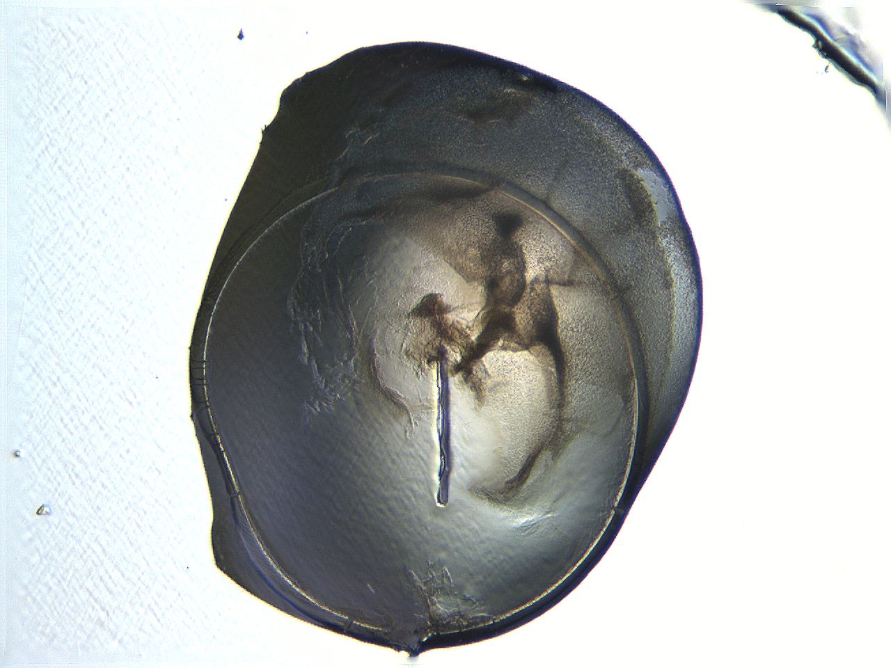 04i4_G7_ImagerDefaults_3.jpg