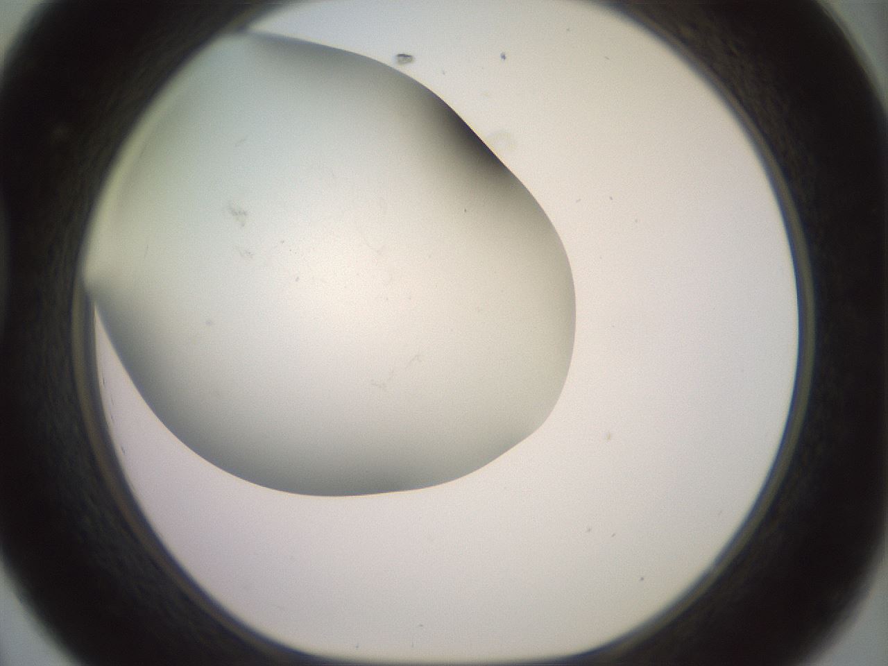 folderID395_plateID3395_batchID21449_wellNum44_profileID1_d1_r301918_ef.jpg