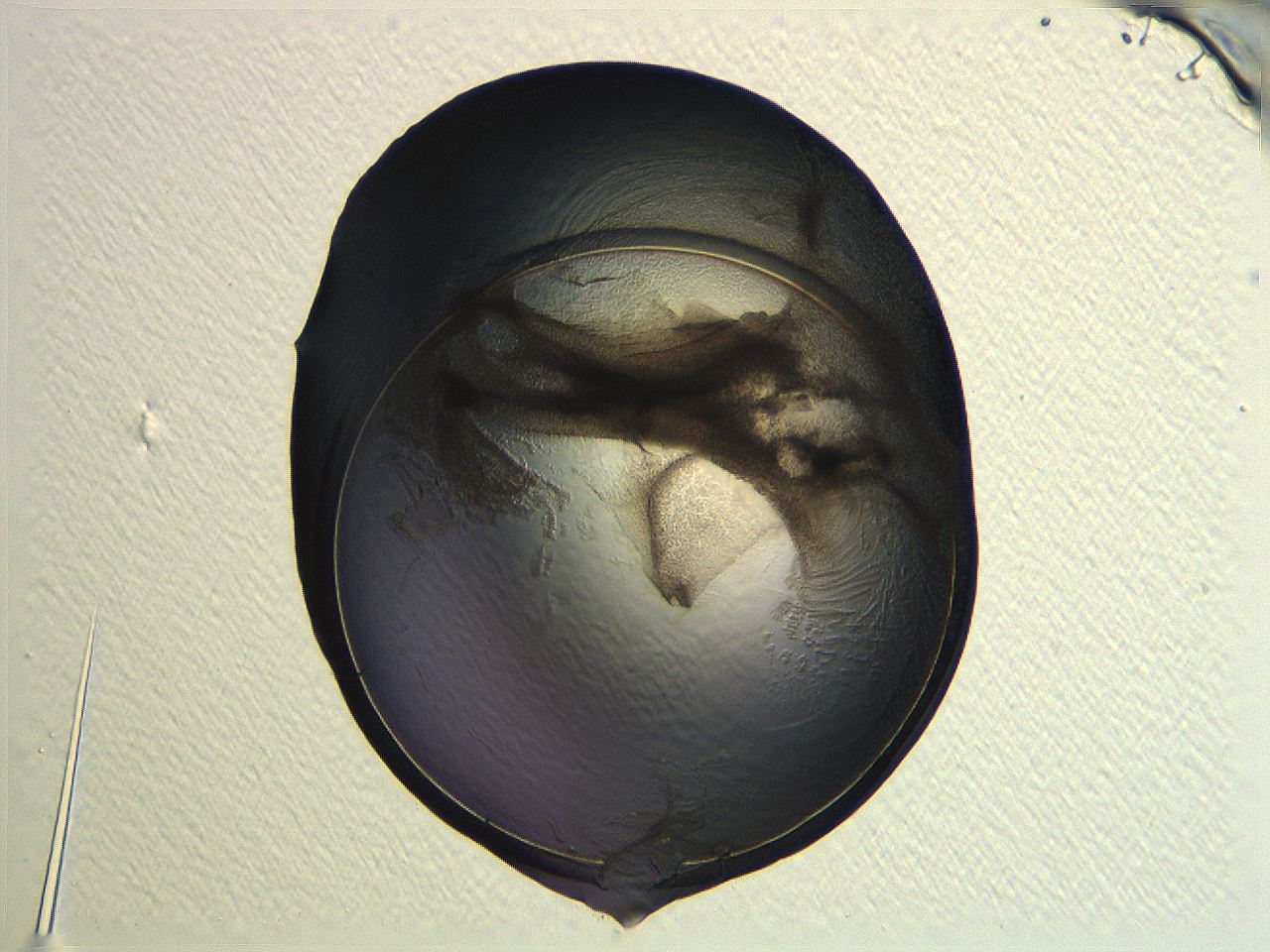 04i4_G10_ImagerDefaults_3.jpg