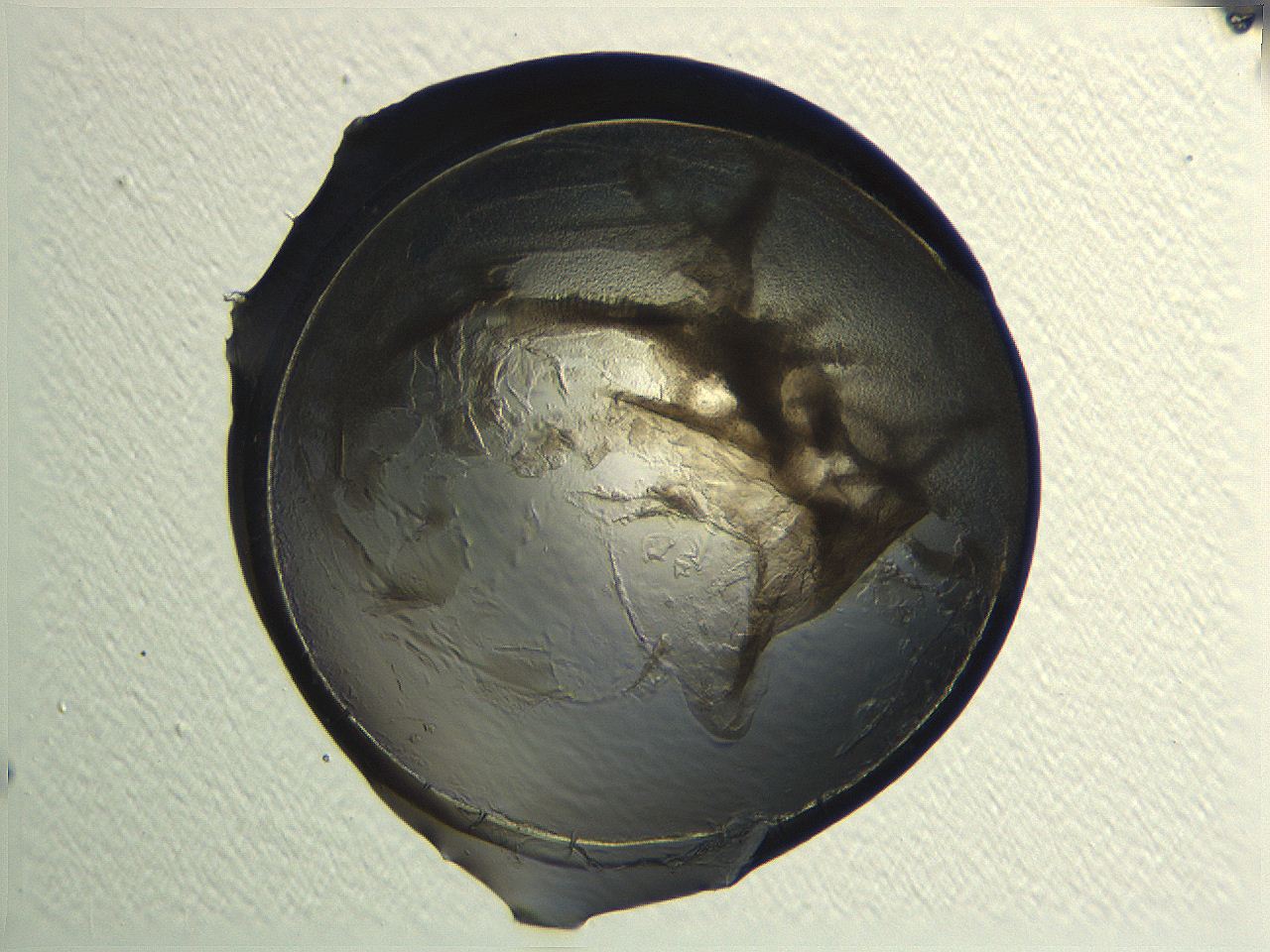 04i4_G11_ImagerDefaults_3.jpg