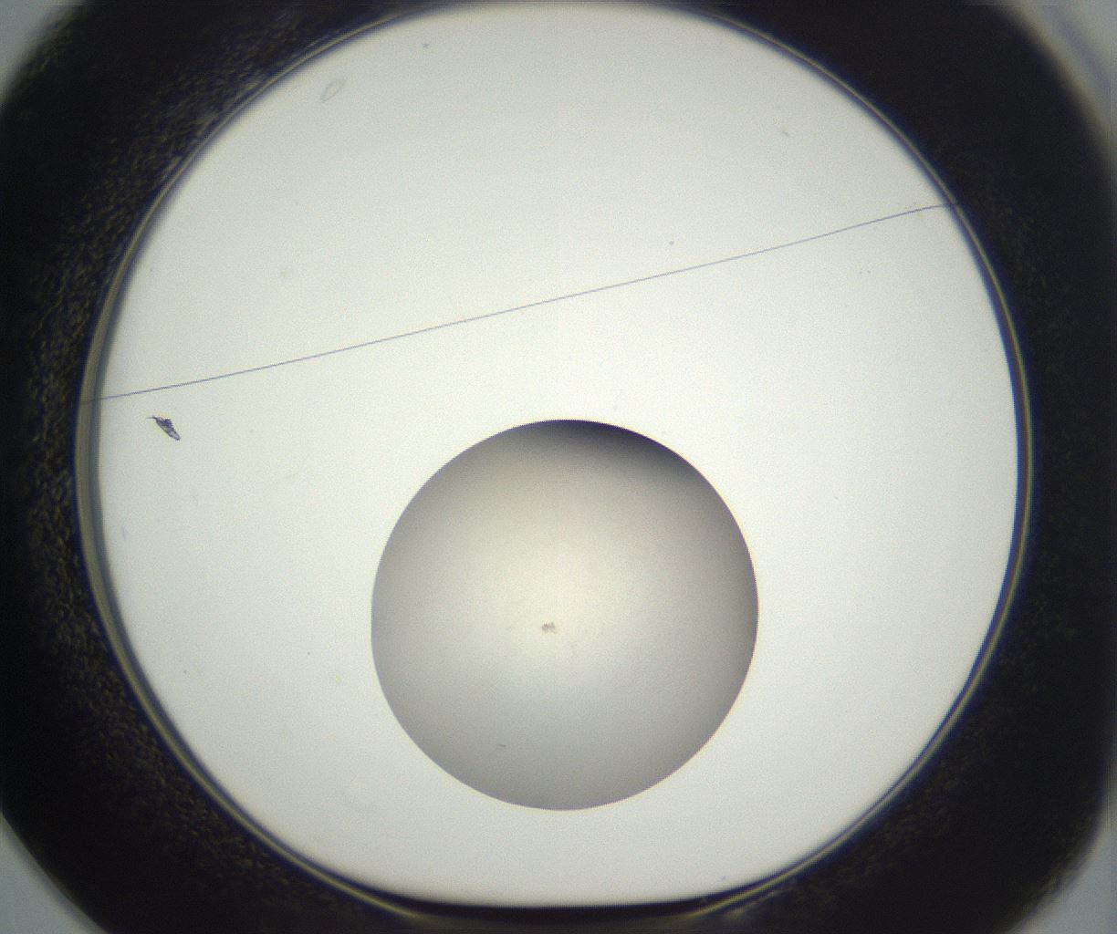 folderID396_plateID3396_batchID19746_wellNum25_profileID1_d1_r301515_ef.jpg