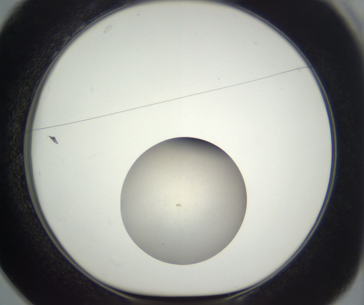 folderID396_plateID3396_batchID19795_wellNum25_profileID1_d1_r301515_ef.jpg