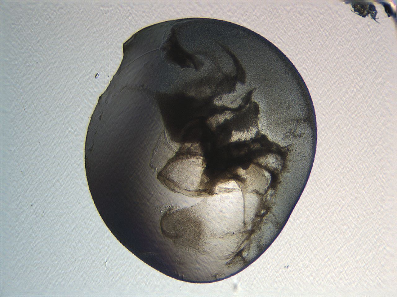 04i4_H1_ImagerDefaults_3.jpg