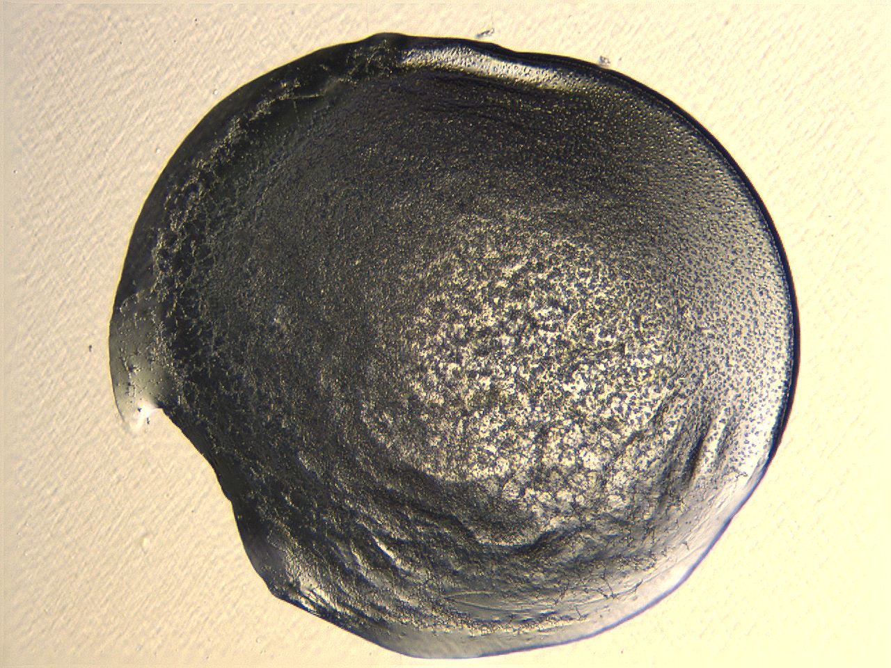 04i4_H2_ImagerDefaults_3.jpg