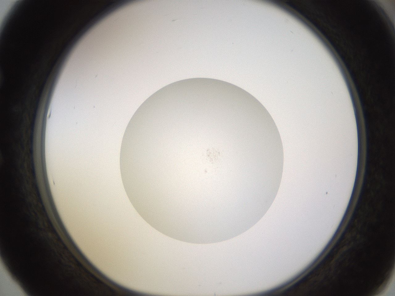 folderID397_plateID1397_batchID5155_wellNum53_profileID1_d1_r85222_ef.jpg