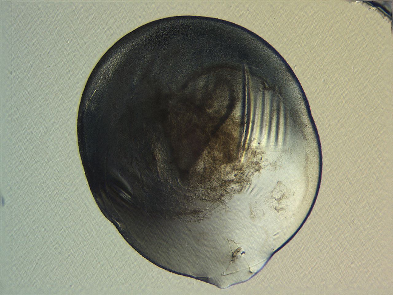 04i4_H3_ImagerDefaults_3.jpg
