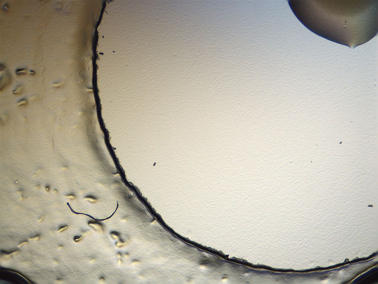 04i4_H5_ImagerDefaults_0.jpg