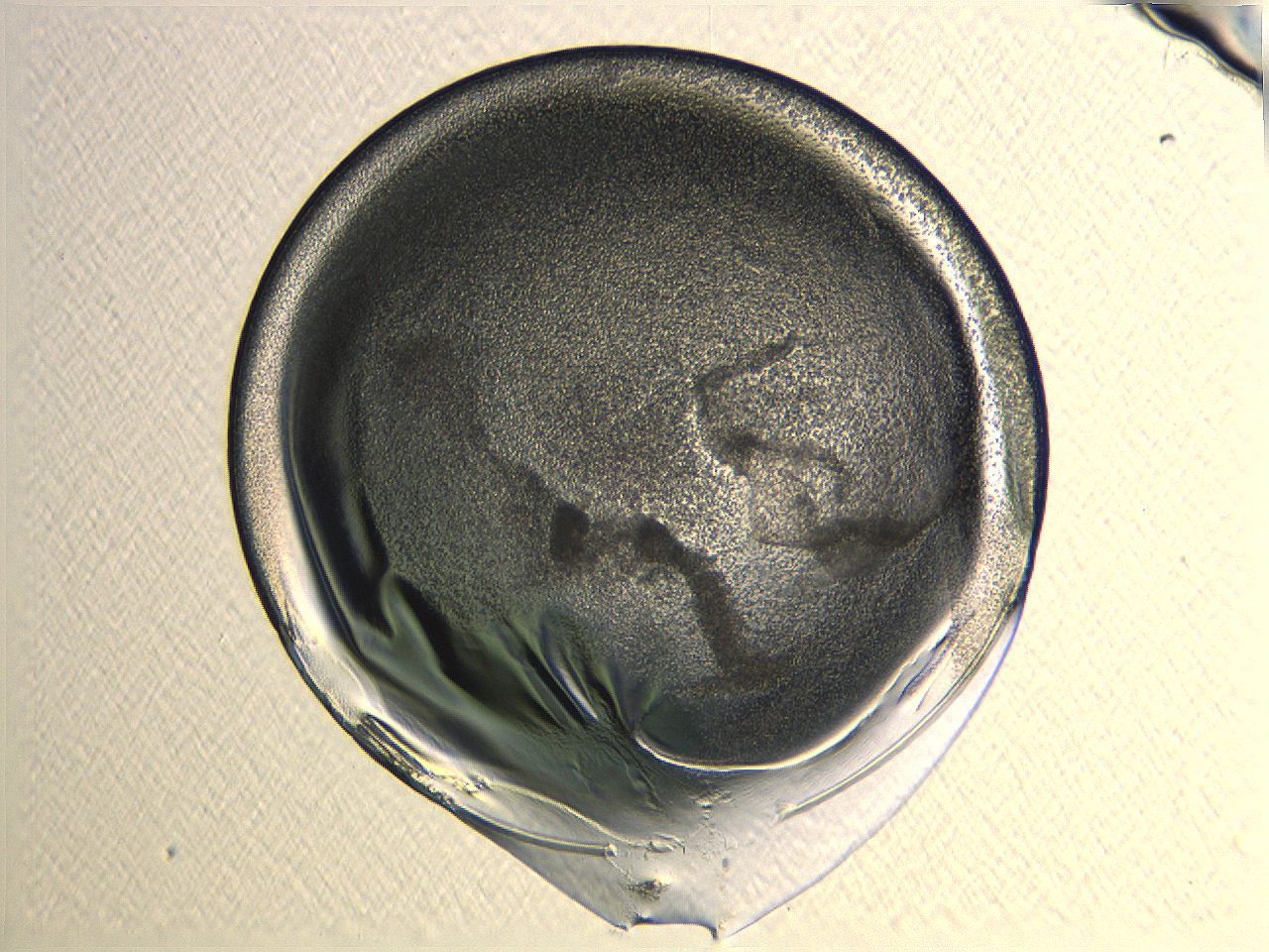 04i4_H6_ImagerDefaults_3.jpg
