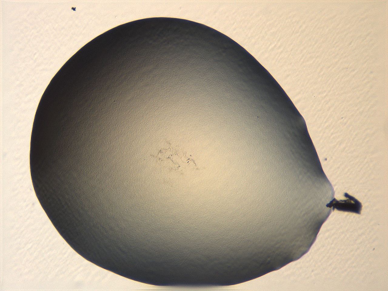 04i5_A5_ImagerDefaults_0.jpg