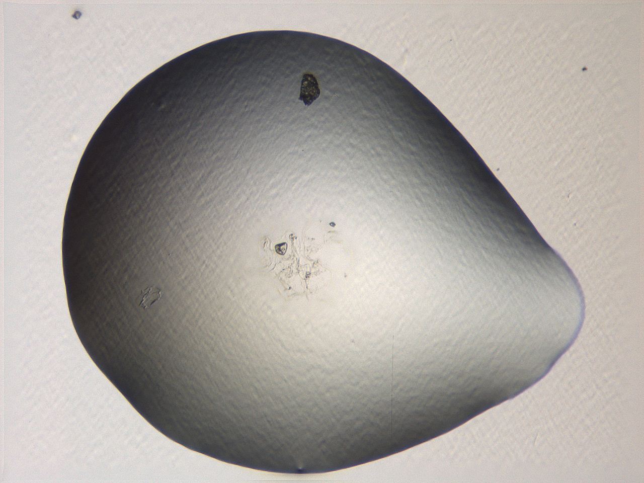 04i5_A4_ImagerDefaults_0.jpg