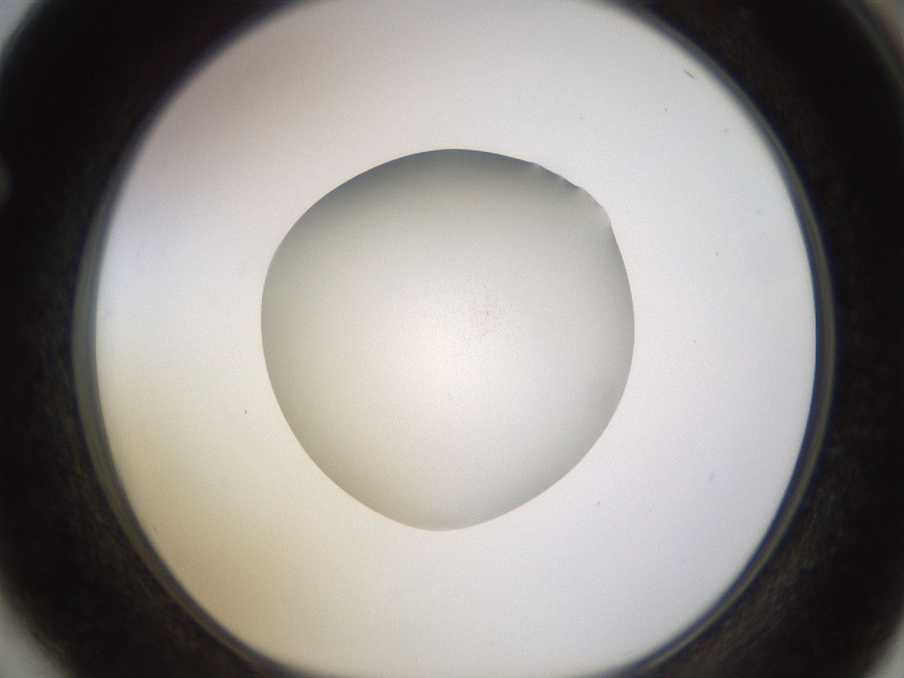 folderID401_plateID1401_batchID4971_wellNum64_profileID1_d1_r85041_ef.jpg