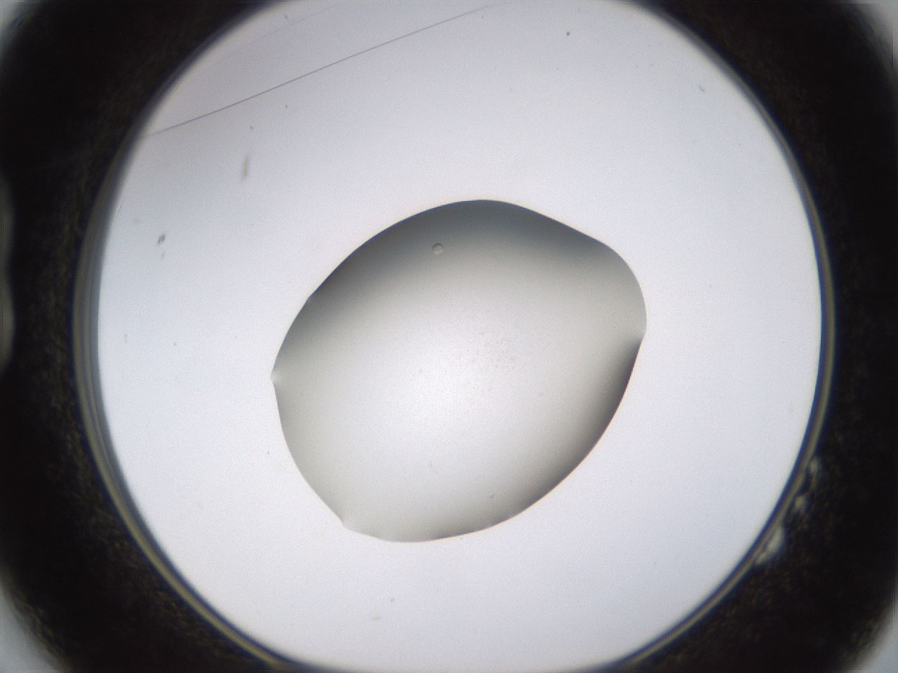 folderID401_plateID1401_batchID4988_wellNum14_profileID1_d1_r84991_ef.jpg