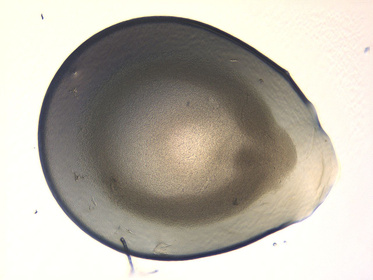 04i5_A2_ImagerDefaults_3.jpg