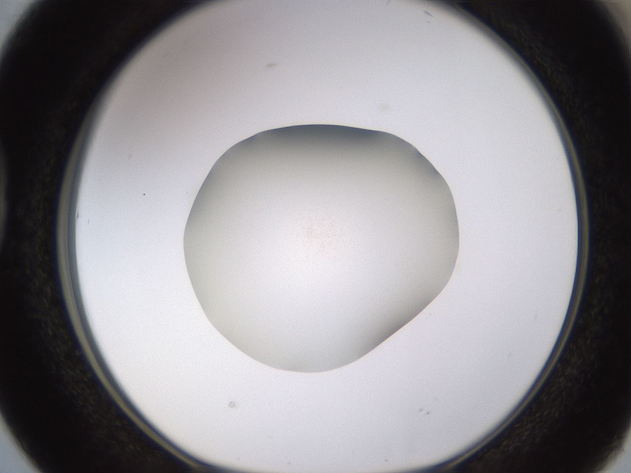 folderID401_plateID1401_batchID5001_wellNum38_profileID1_d1_r85015_ef.jpg