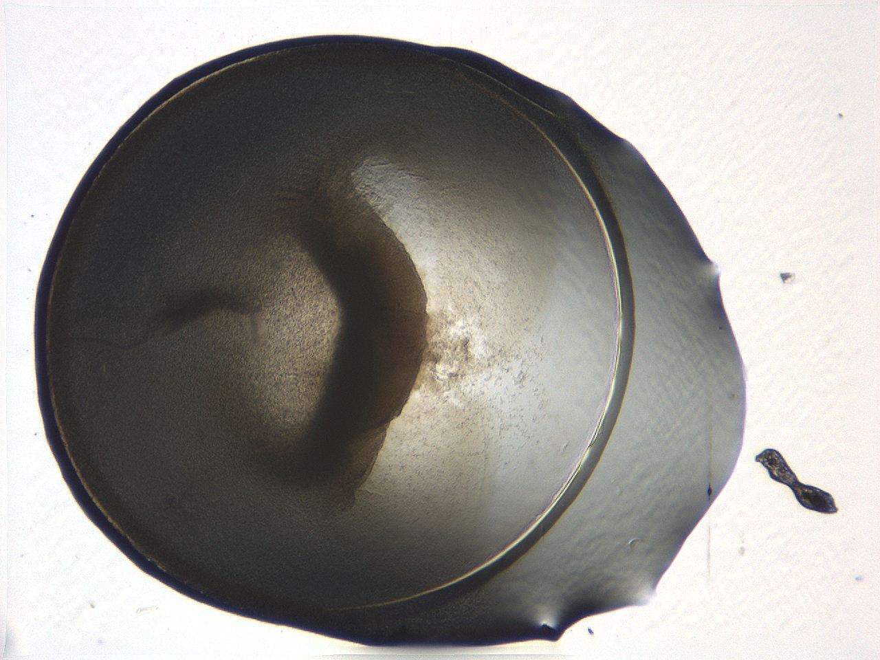 04i5_A9_ImagerDefaults_3.jpg