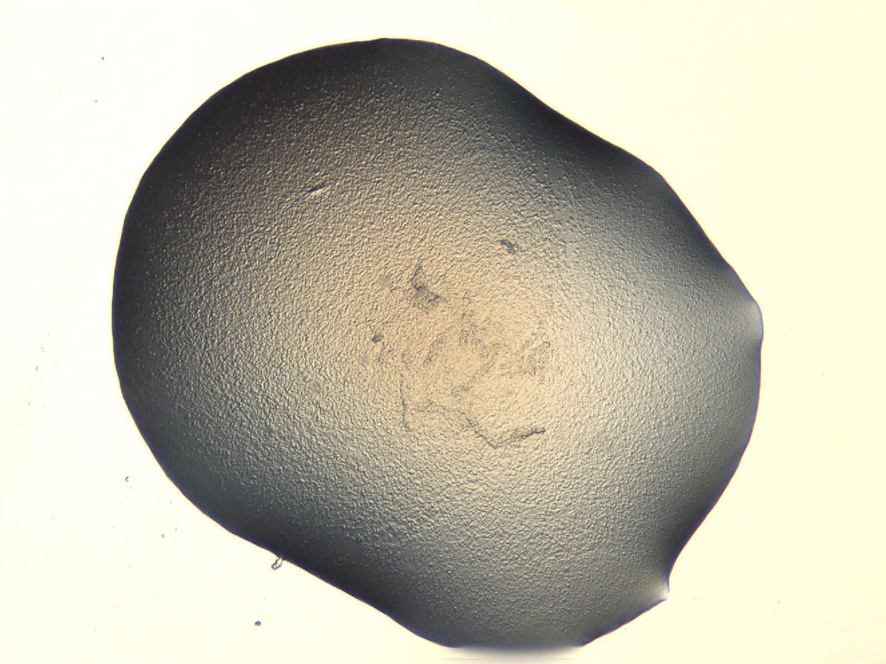 04i5_A10_ImagerDefaults_0.jpg