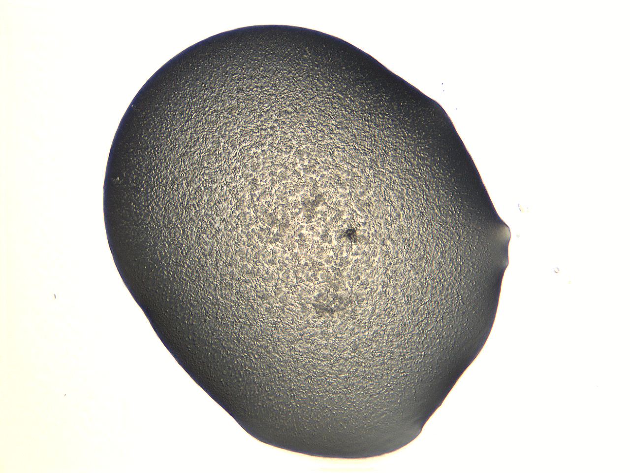 04i5_A11_ImagerDefaults_3.jpg