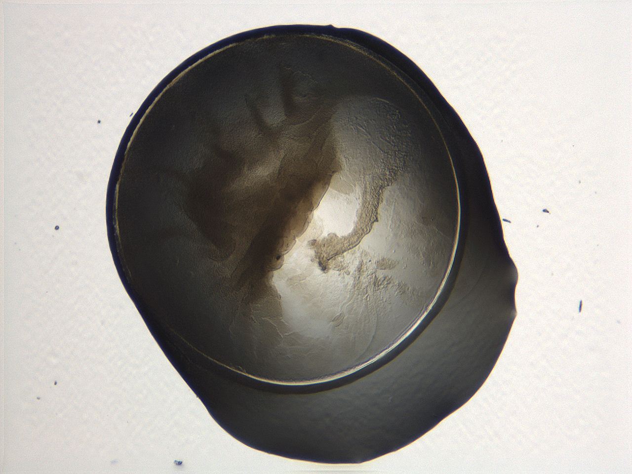 04i5_A12_ImagerDefaults_3.jpg