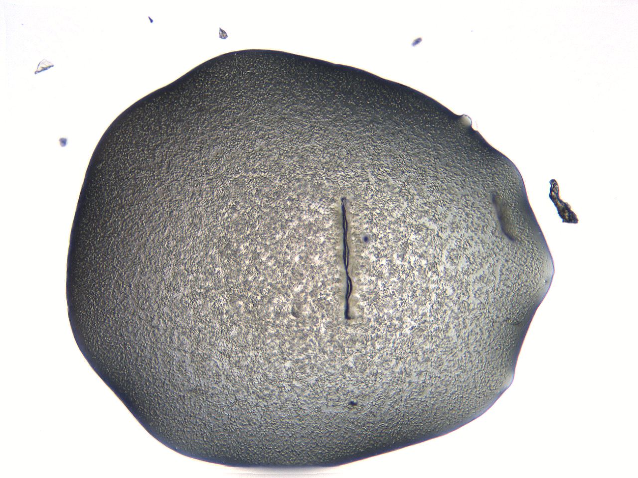 04i5_B1_ImagerDefaults_3.jpg